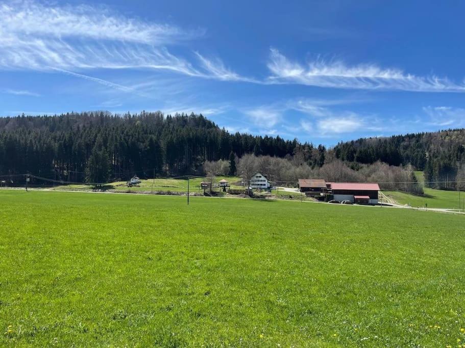 Idyllisches Ferienapartment Allgaeu Bad Grönenbach Exterior foto